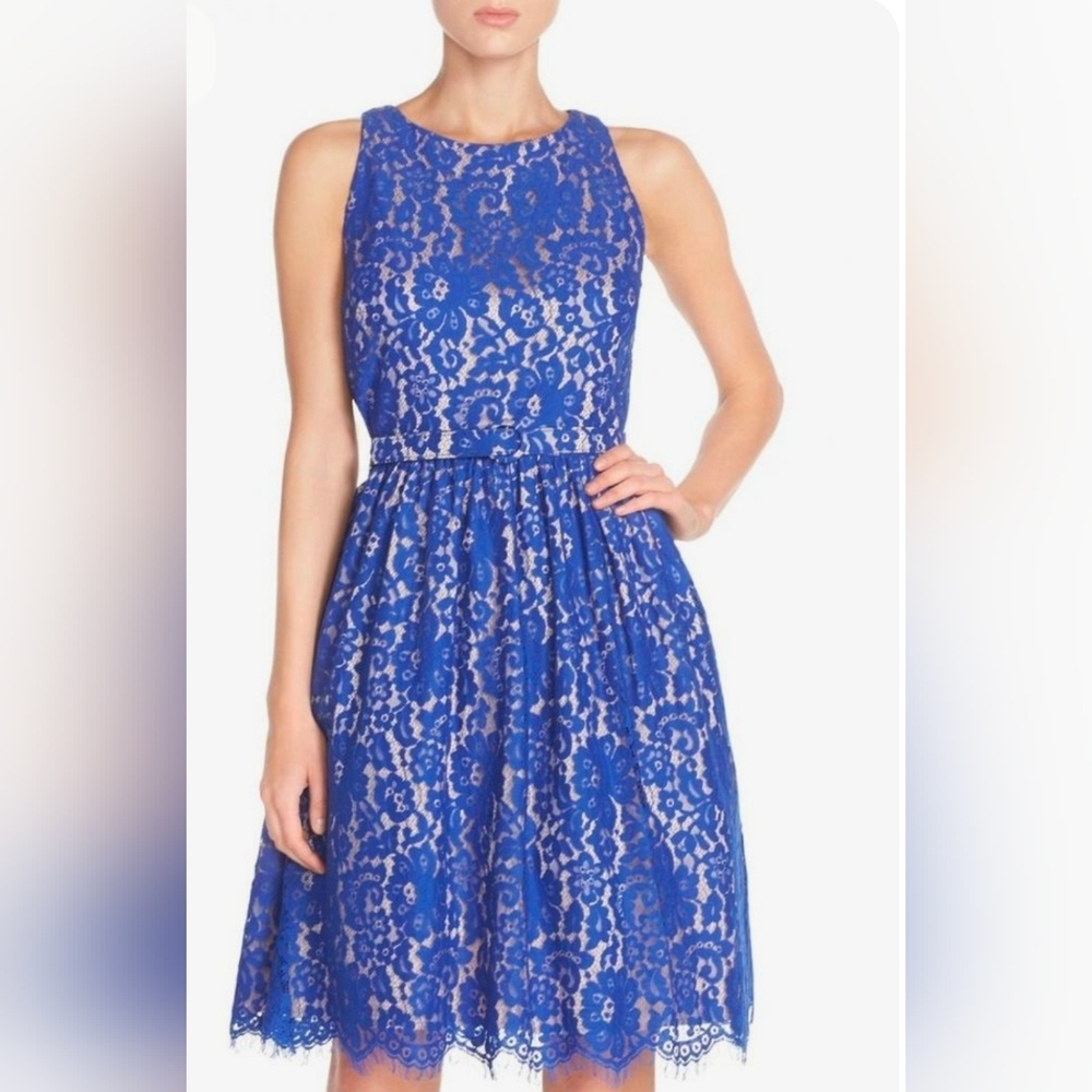 Eliza J Colalt blue lace Cocktail dress size 24W